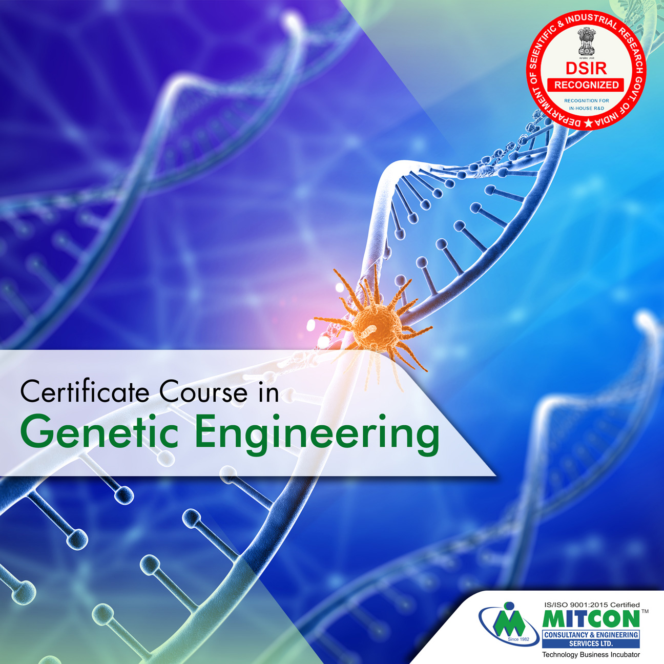 Genetic-Engineering