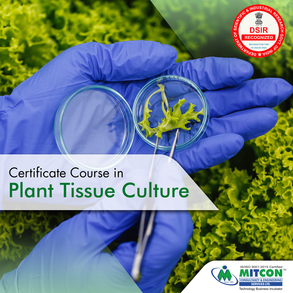 Plant-Tissue-Culture